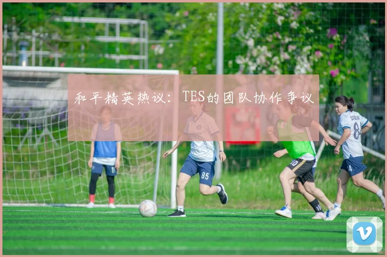 和平精英热议：TES的团队协作争议