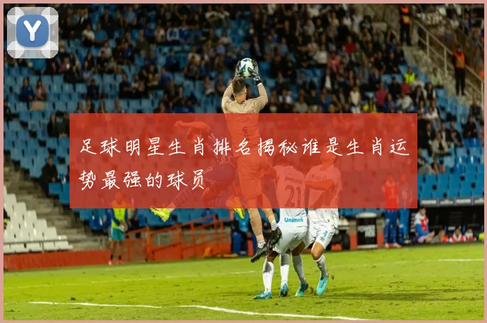 足球明星生肖排名揭秘谁是生肖运势最强的球员