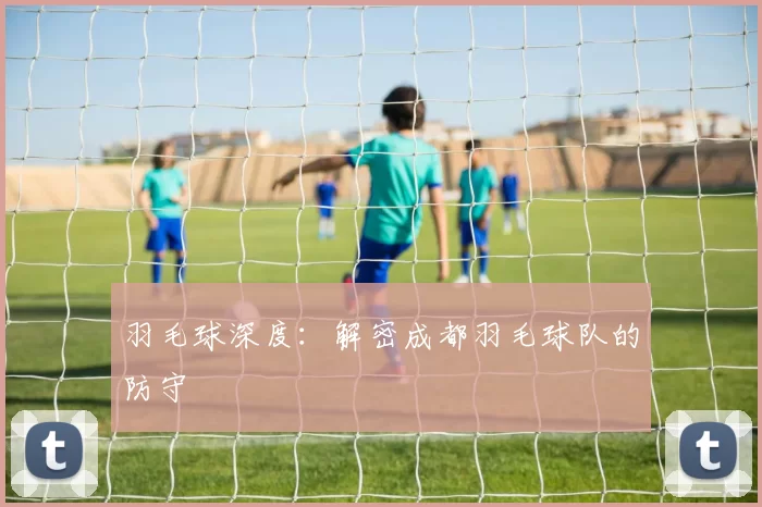 羽毛球深度：解密成都羽毛球队的防守