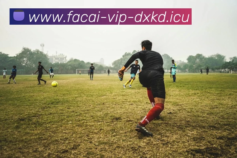 华体会体育APP 封面图